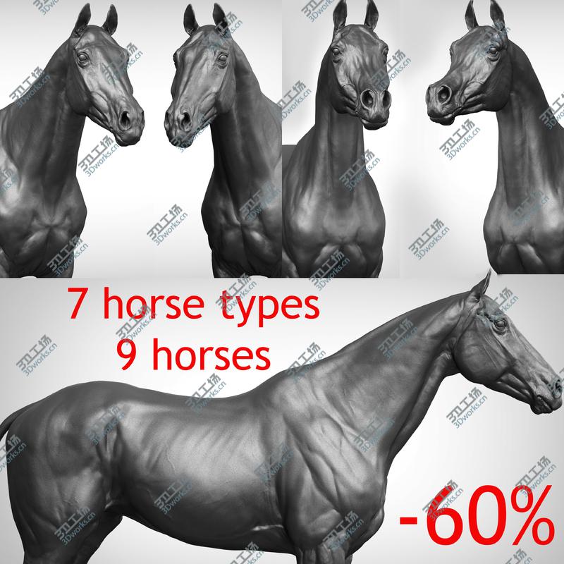 images/goods_img/20210113/3D Horse Collection Vfx Full Cinematic Realistic Zbrush Sculpt 3D model/1.jpg